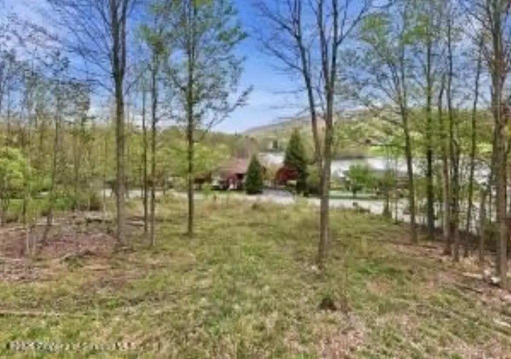 Picture 14