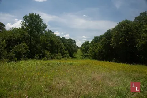 Scenic Land in Carter County