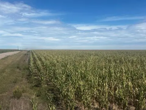 Productive Cropland near Goodland, Kansas