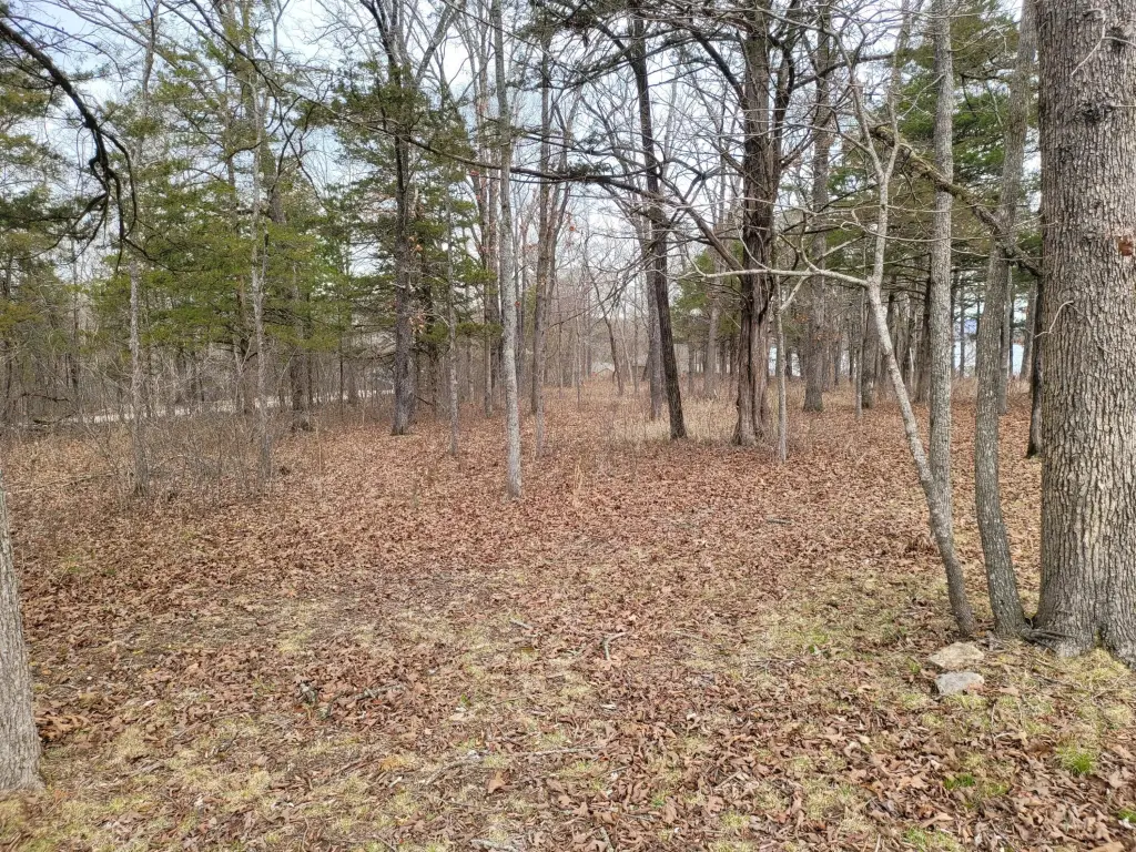 Picture 7