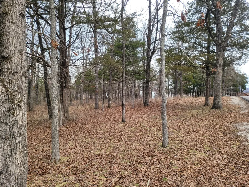 Picture 8