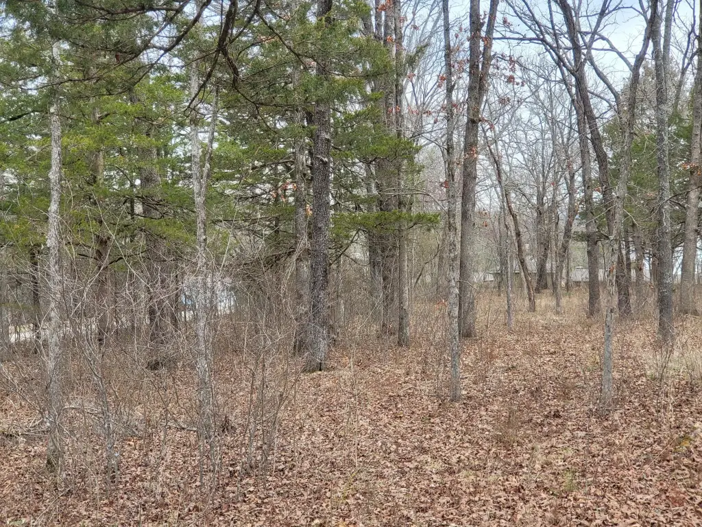 Picture 5