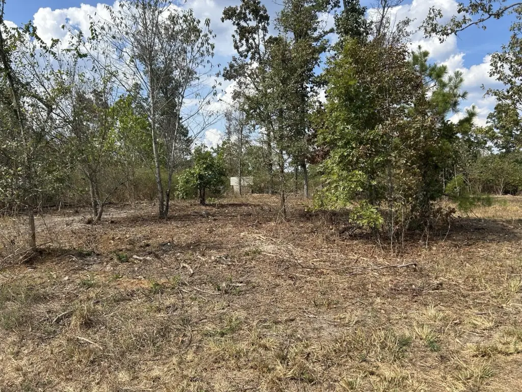 Picture 7