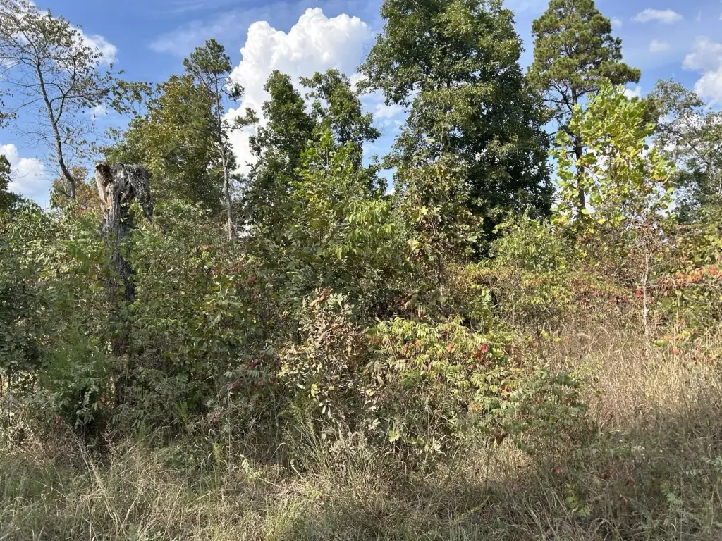Picture 26