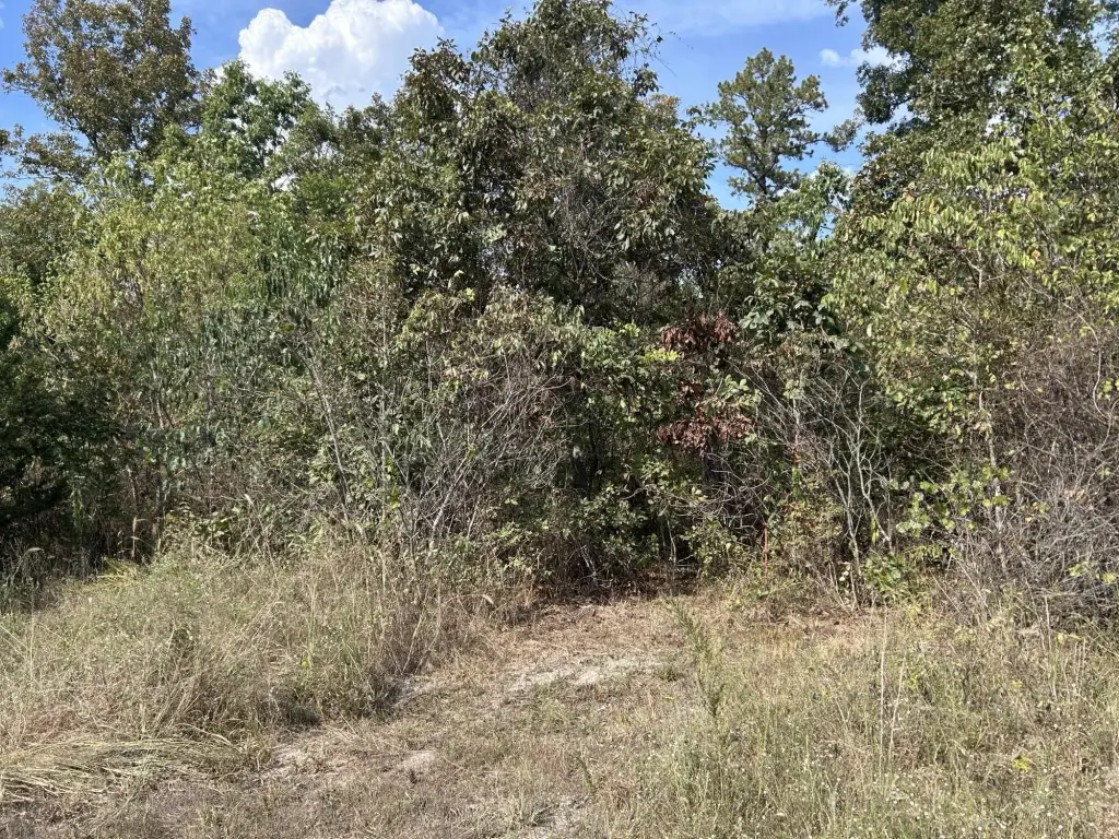 Picture 24