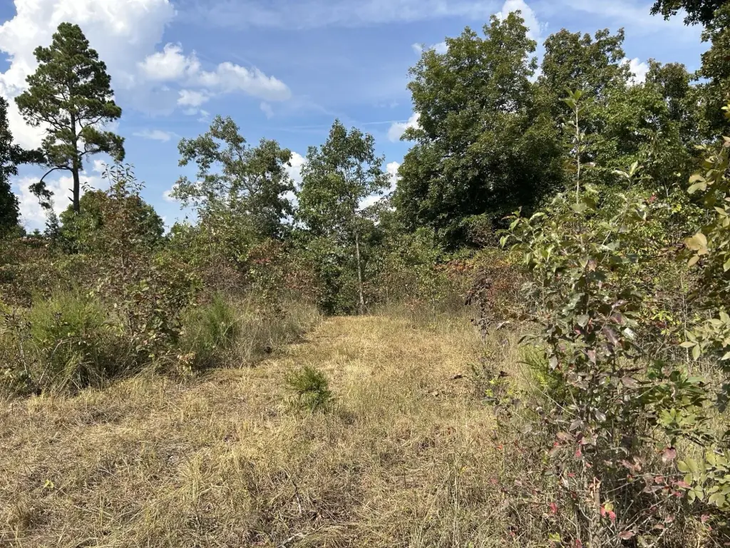 Picture 25