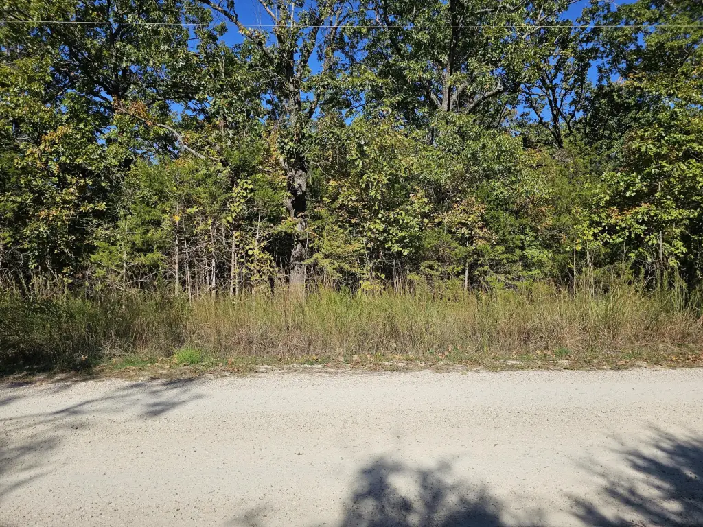 Picture 2