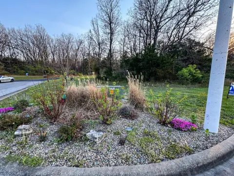 Residential Lot in Fair Grove