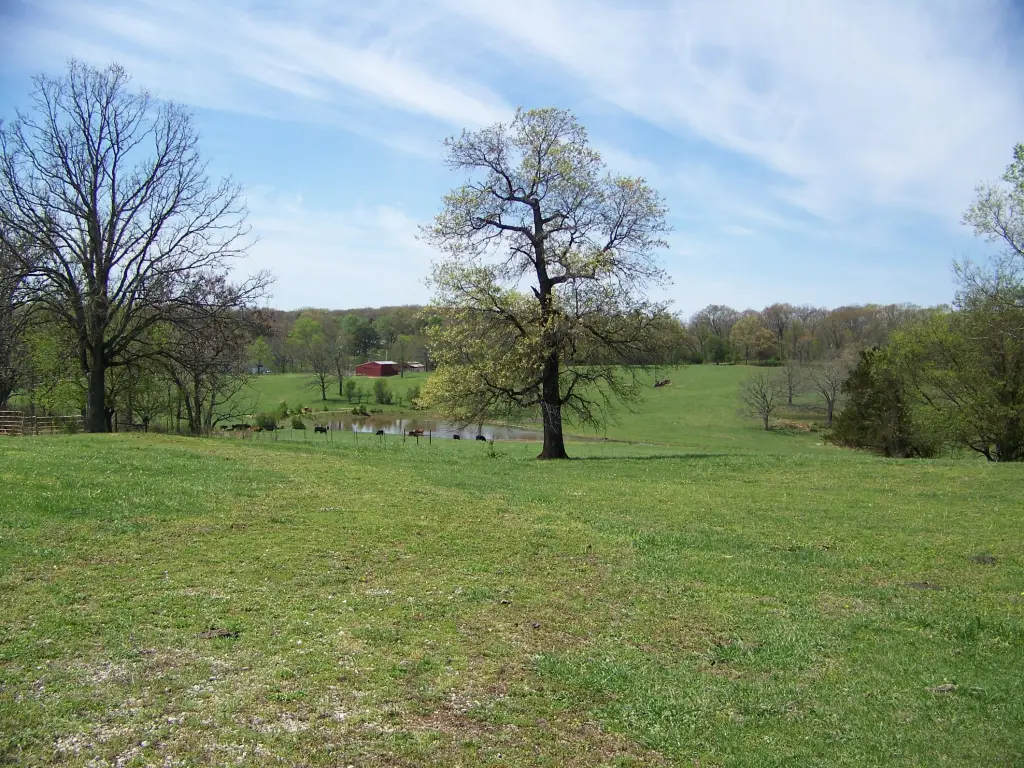 Picture 19