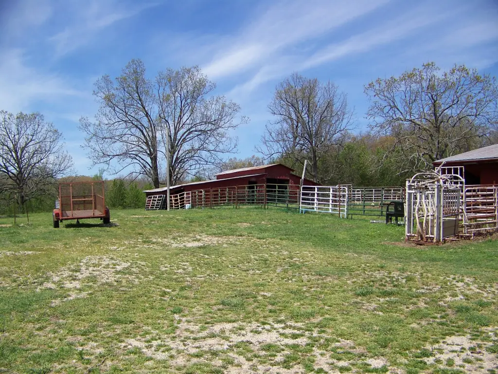Picture 9