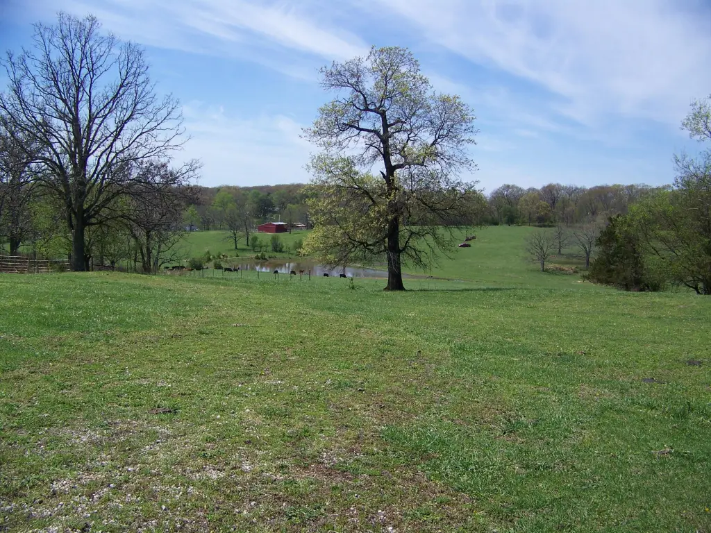 Picture 17