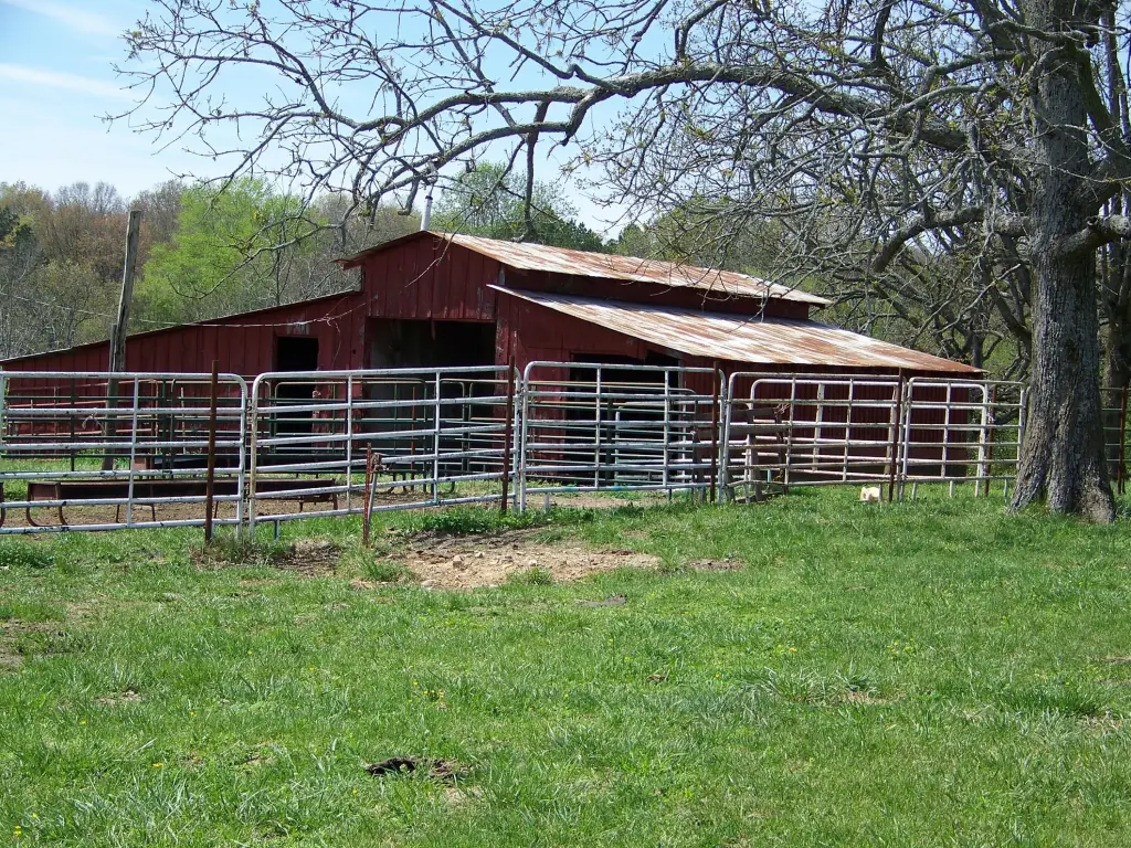 Picture 6