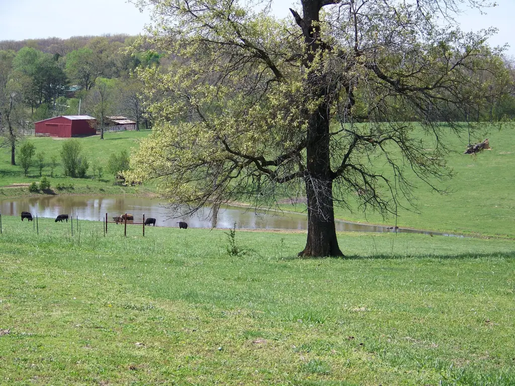 Picture 23