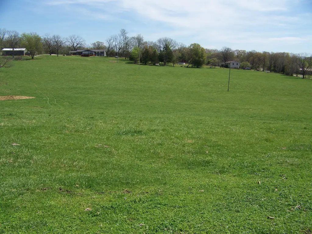 Picture 14