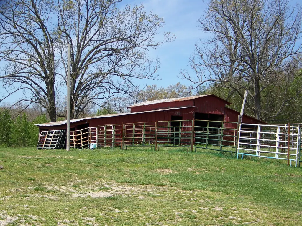 Picture 5