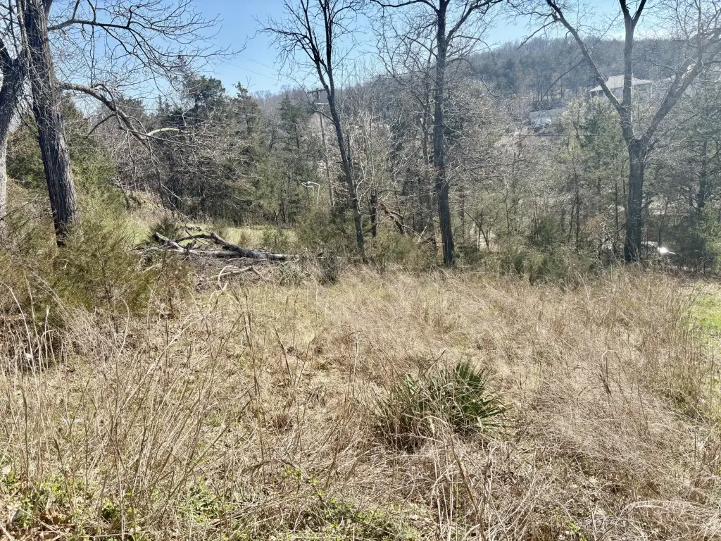 Picture 6