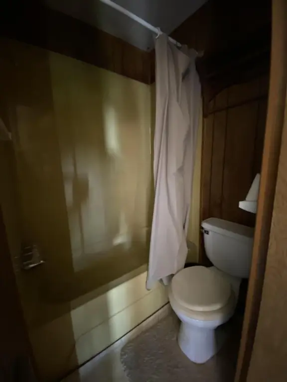 Picture 31