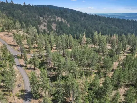 Forested Land in Deer Park