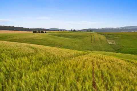 Spokane Land with New Well