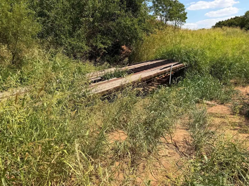 Picture 21