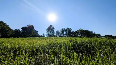 Agricultural Land with Hunting Habitat