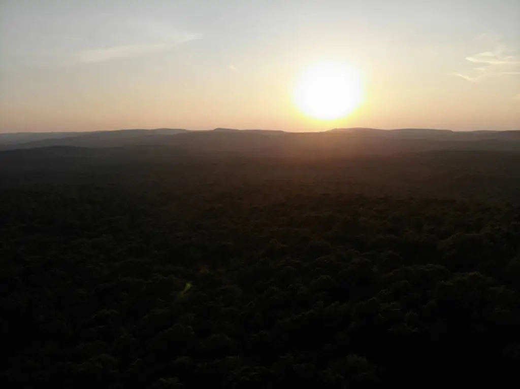 Picture 5