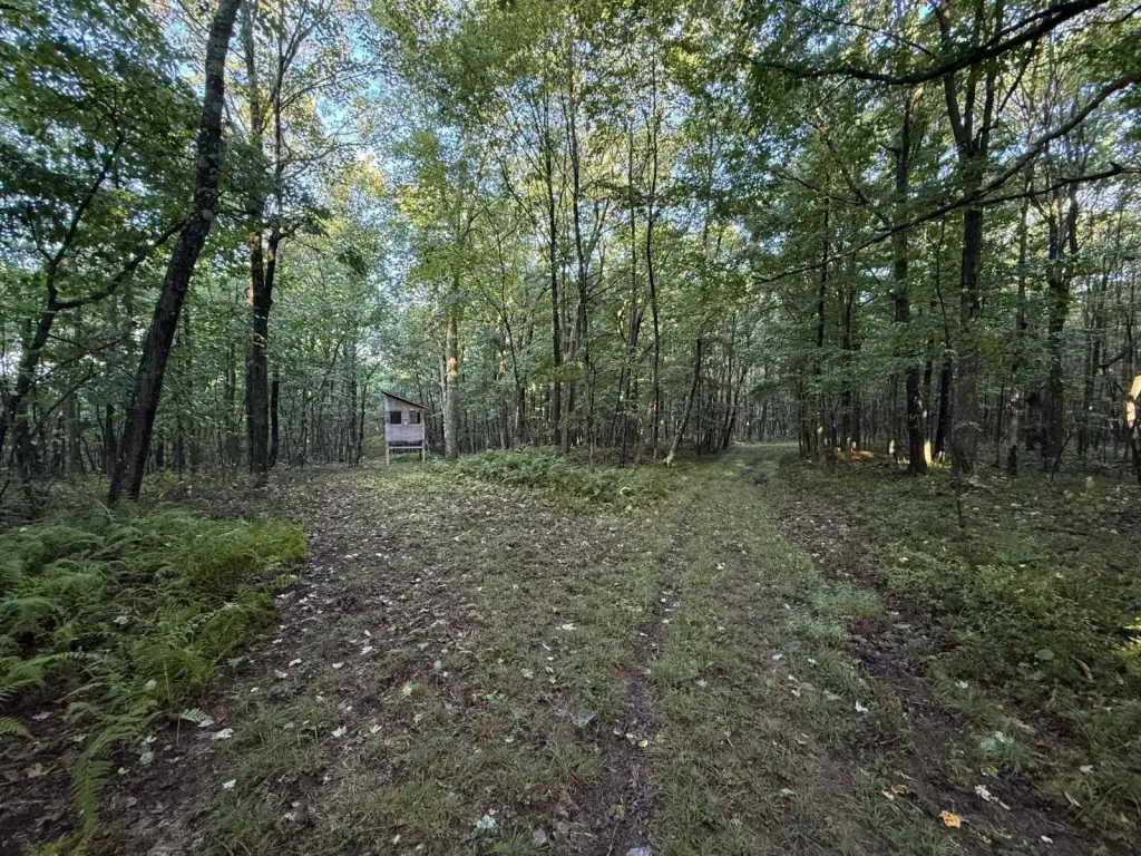 Picture 22