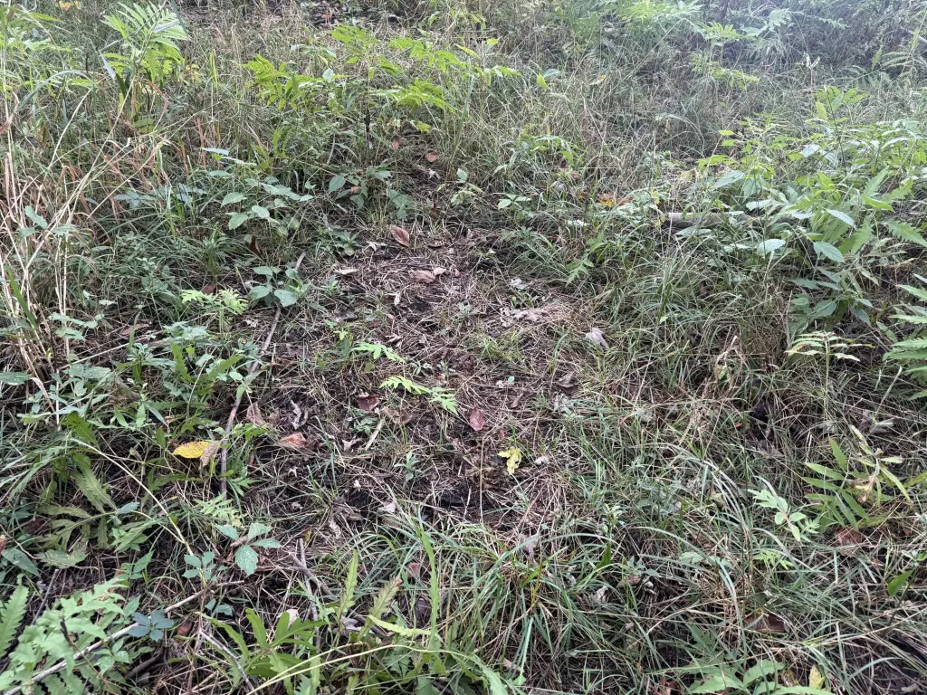 Picture 12