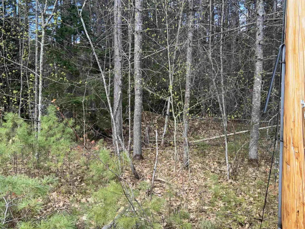 Picture 29