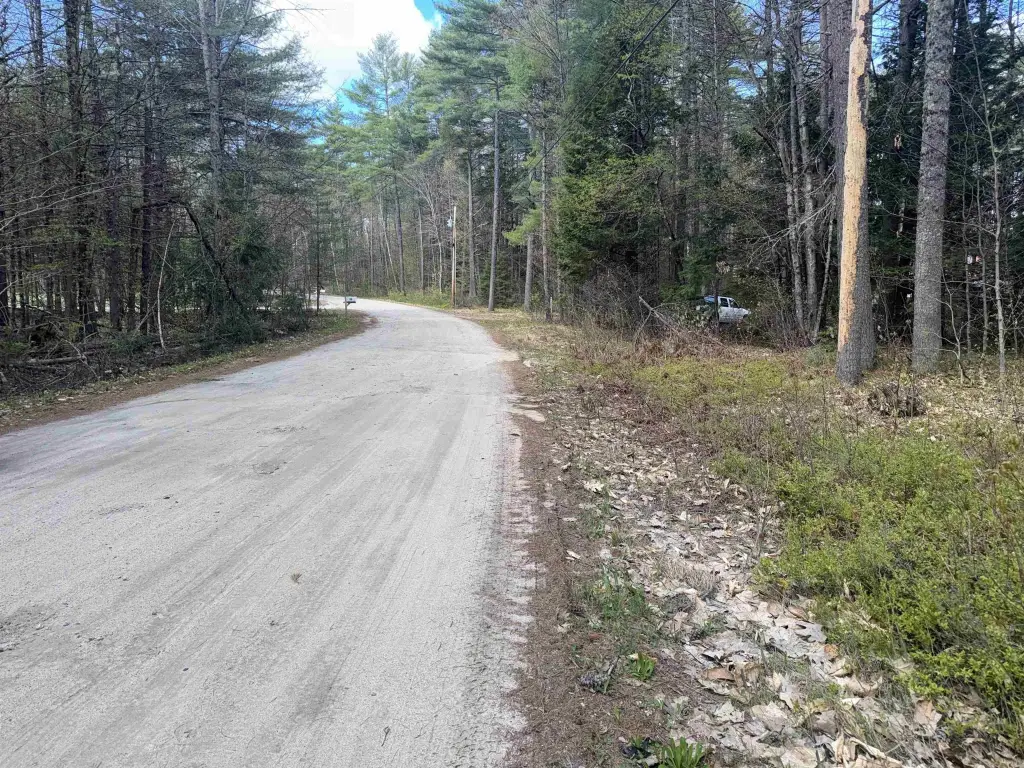Picture 19