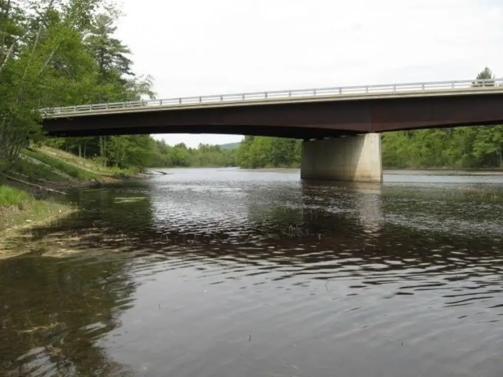 Picture 47