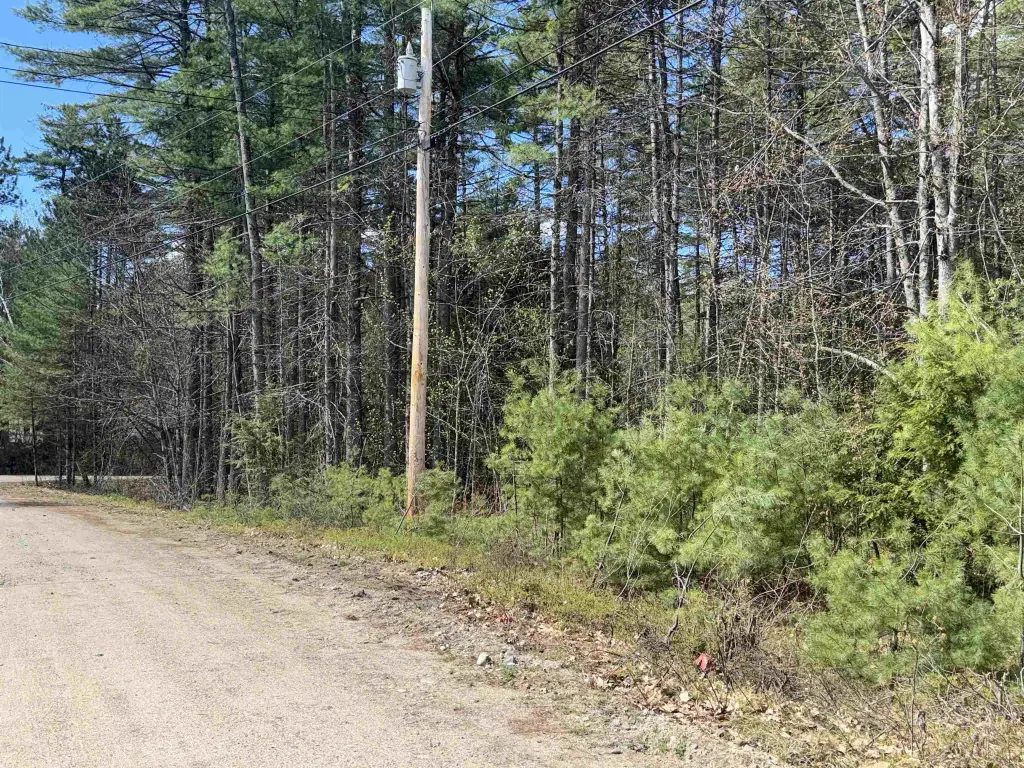 Picture 25
