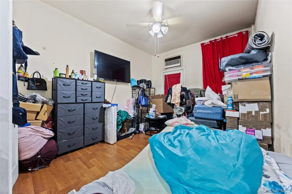 Picture 15