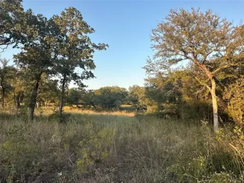 Land in Paradise, Texas