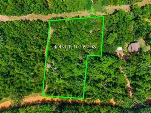 Wooded Lots in Hawkins, TX