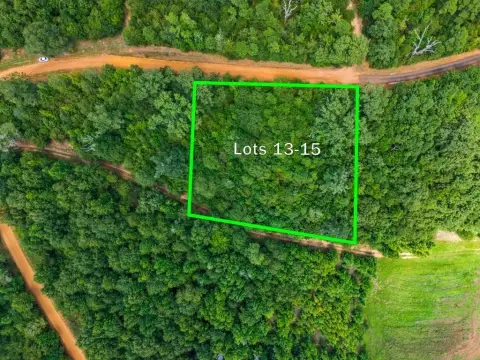 Wooded Lots in Hawkins, TX