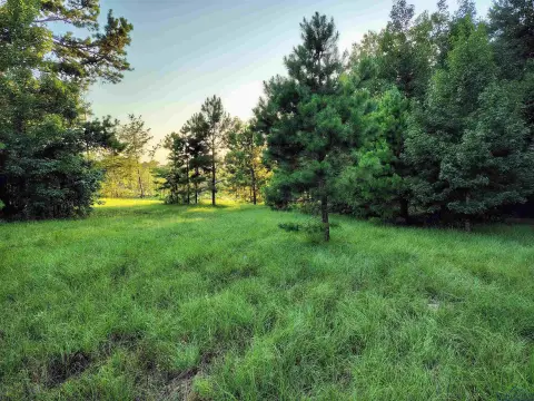 20 Acres of East Texas Land