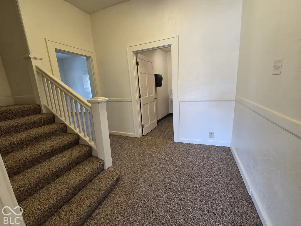 Picture 19