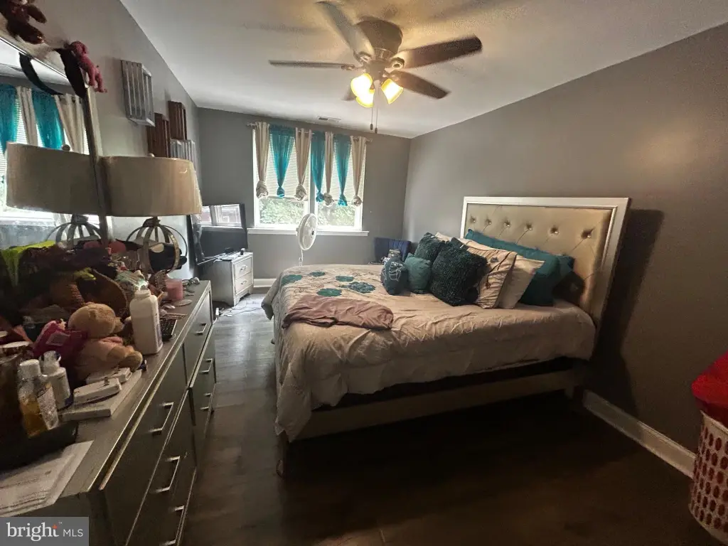 Picture 21