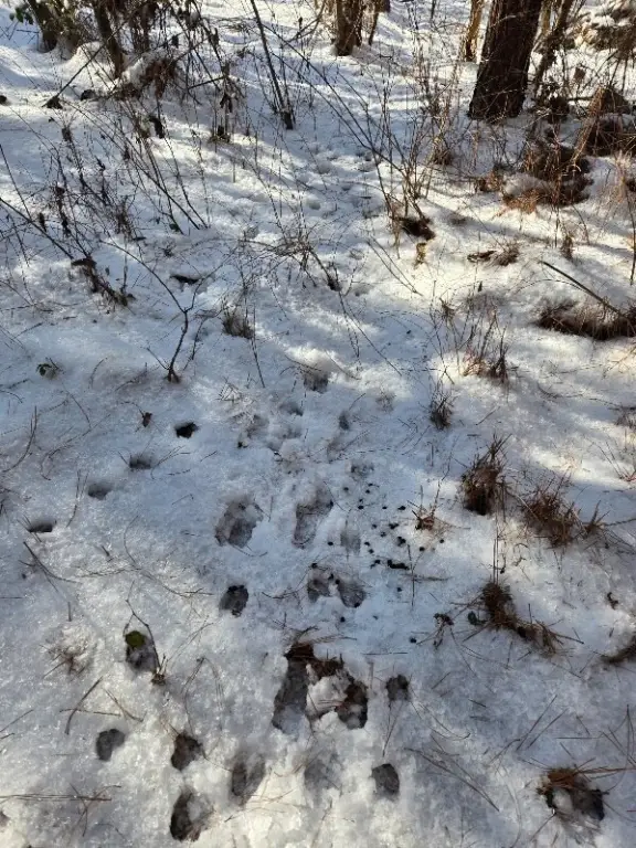 Picture 14