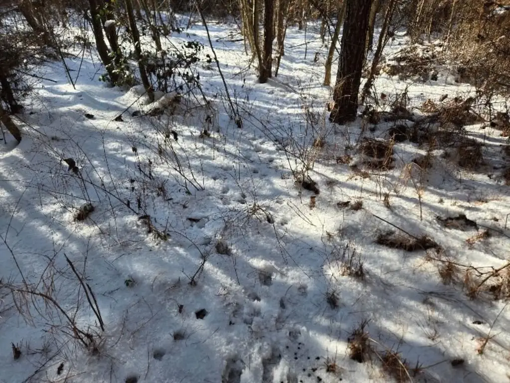 Picture 15