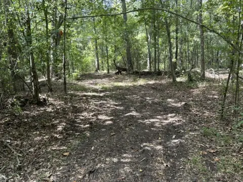 Turbeville Vacant Hunting and Recreational Land