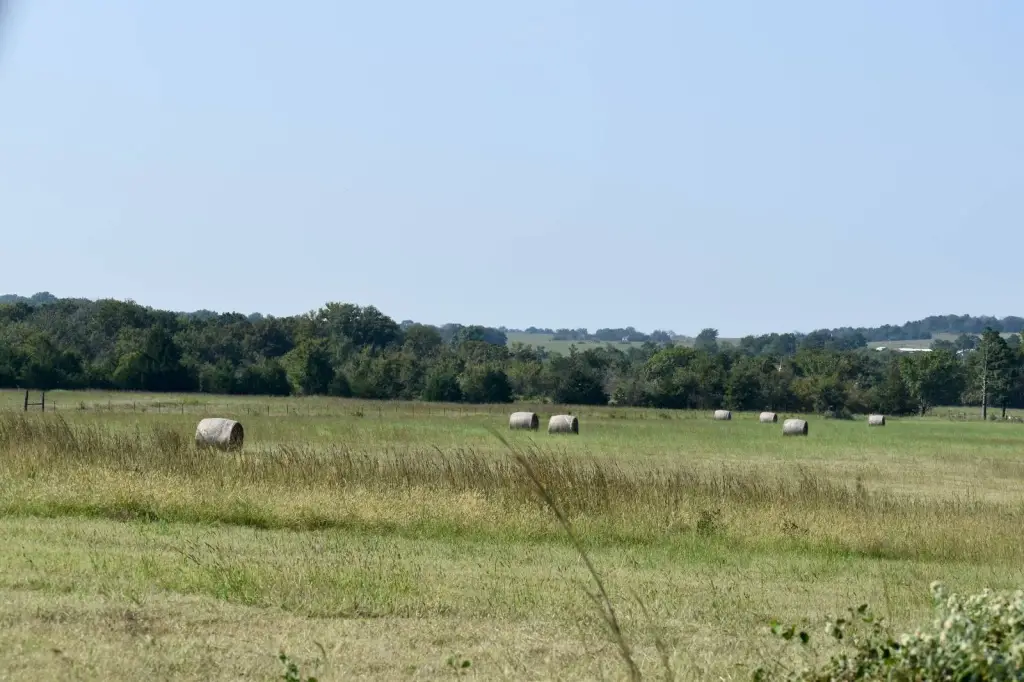 Picture 42