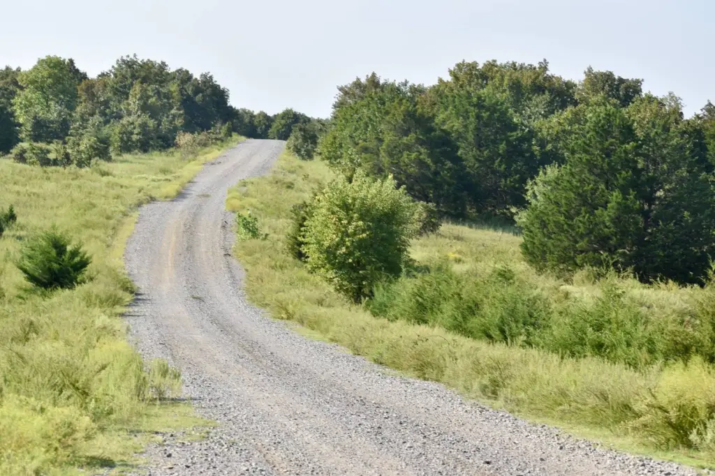 Picture 20
