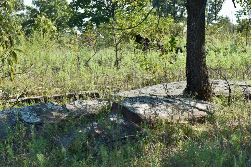 Picture 26