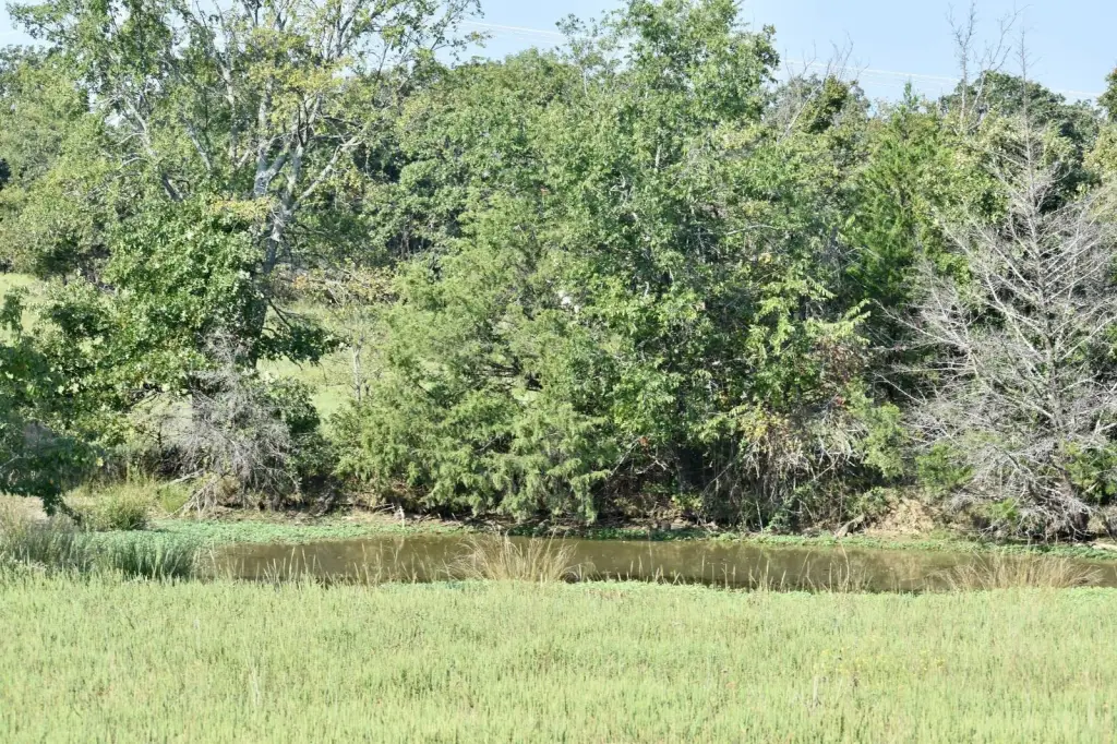 Picture 18