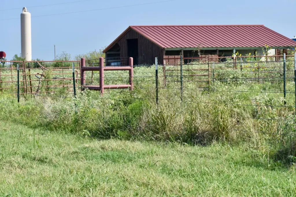 Picture 43