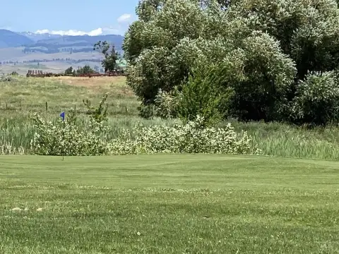 Land on Council Greens Golf