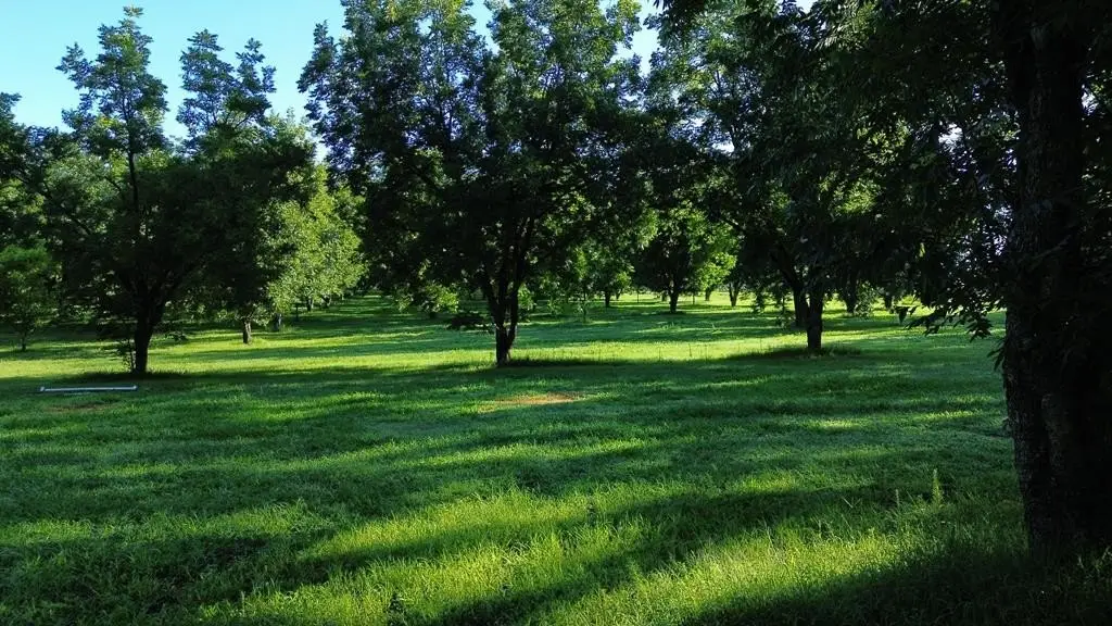 Picture 33