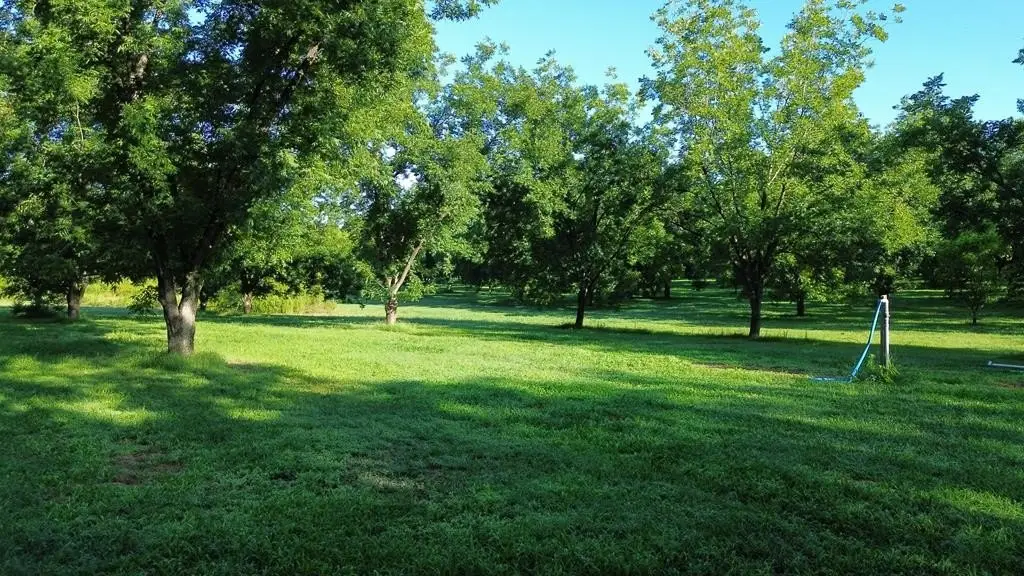 Picture 31